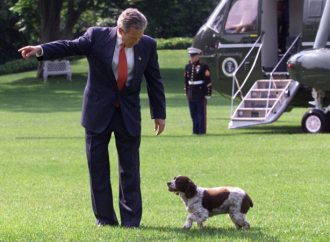 Bekir Hazar, Amerika’nın ‘Köpek sevdası’nı yazdı