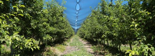 Köylüler tarlalarını birleştirip işletmeye başladı, köye dönüş başladı