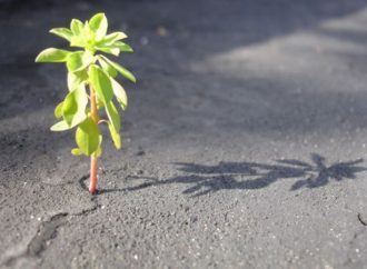 Vahyin penceresinden bakalım!