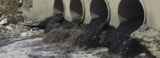 Ergene nehri neden ‘kara’ akıyor?