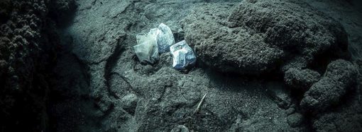Dünya’nın en derin noktasından plastik atık çıktı