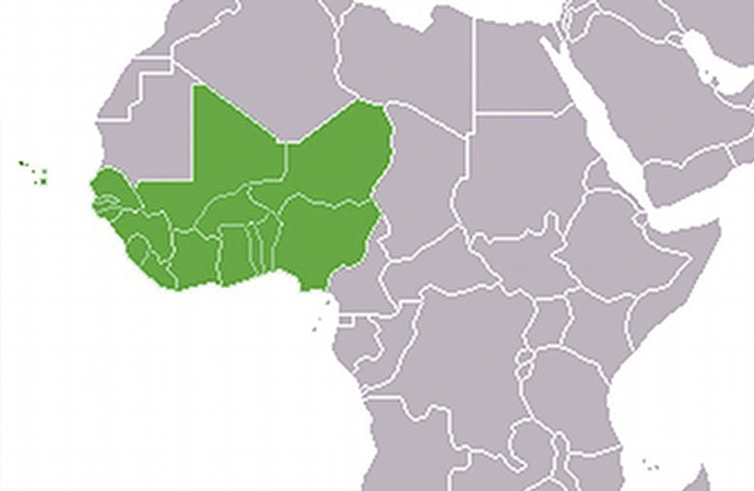 Batı Afrika ülkelerinde ortak para birimi anlaşması