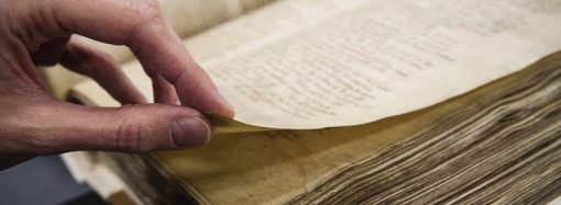 Her İnsan ‘Bilge’ Olabilir