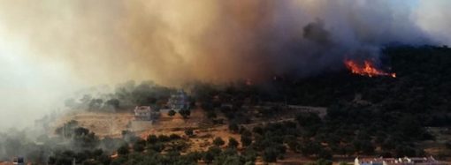 Orman yangınlarının yüzde 80’i insan kaynaklı