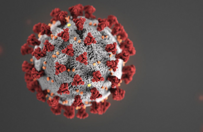 ‘Koronovirüsle ilgili inanılmaz bir bilgi kirliliği bulunmakta’