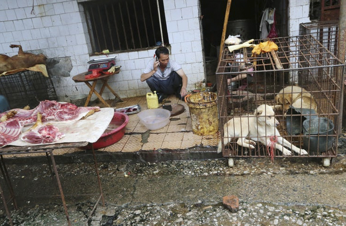 ABD’den Çin’e çağrı: Vahşi hayvan pazarlarını sonsuza dek kapatın