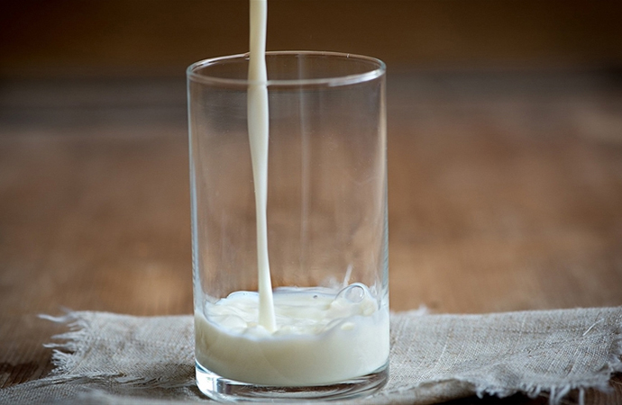 Keçi sütü içerisinde Kovid-19’a karşı etkili protein keşfedildi