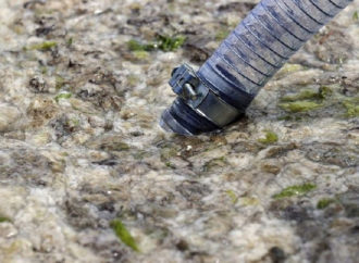 Müsilaj Diyorlar Pisliğin Adına