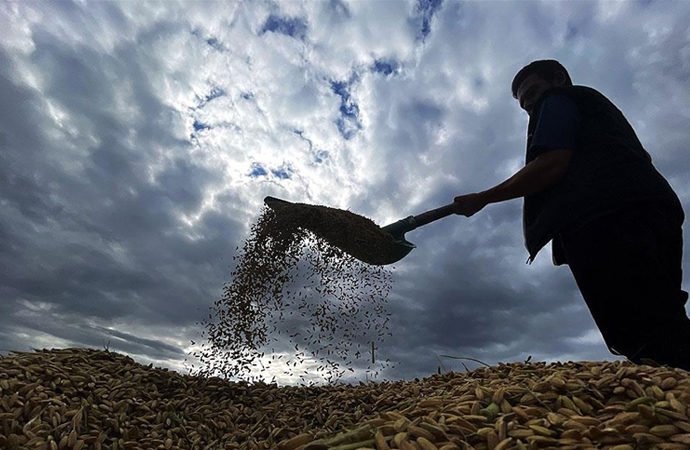 Türkiye’de çiftçi sayısı son 10 yılda yüzde 53 azaldı