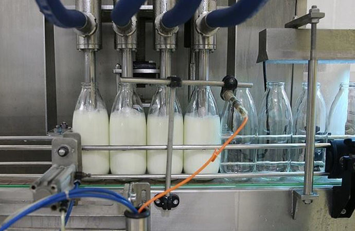 Türkiye’nin tereyağı, krema, inek sütü 2021 üretim rakamları
