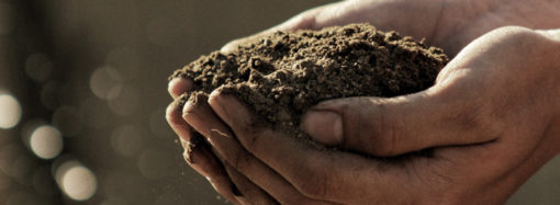 Bilsen Başaran’ın “Toprağımın Anaları” Şiiri