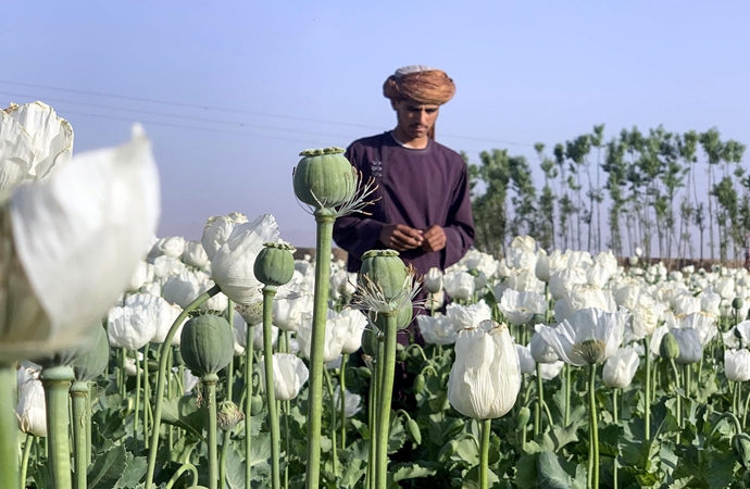 Taliban uyuşturucu ve sarhoşluk veren maddeleri yasakladı