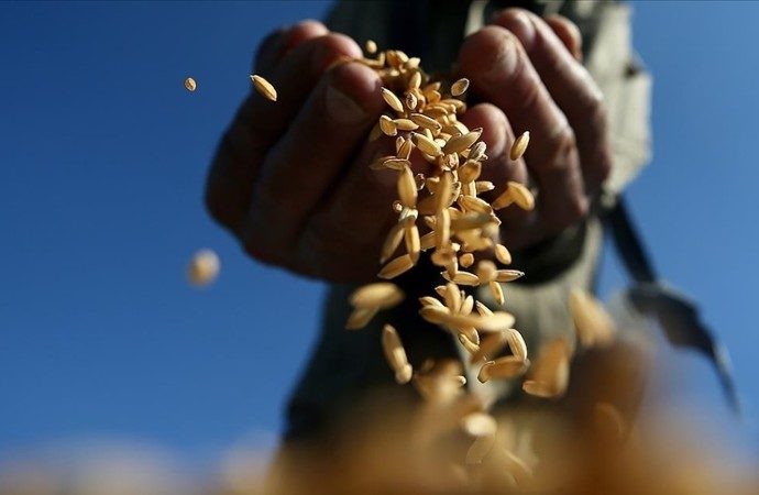 Yemen’den buğday stokları tükenmek üzere