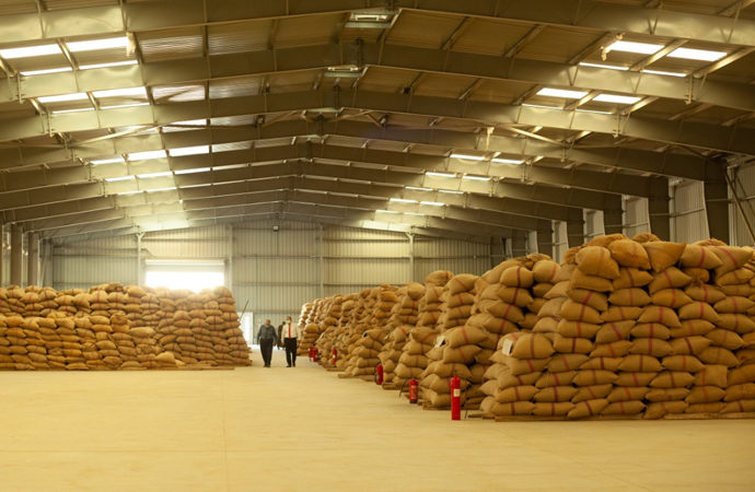 Lübnan ve Mısır, buğdayının yüzde 80-90’ını ithal ediyor