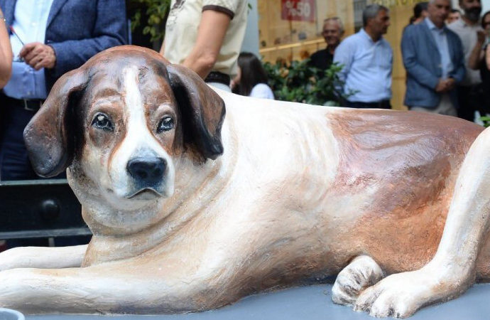 Şişli’de sokak köpeği heykeli, kurdele kesilerek açıldı