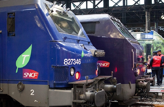 Fransa’da bazı hatlarda trenleri haşereler bastı