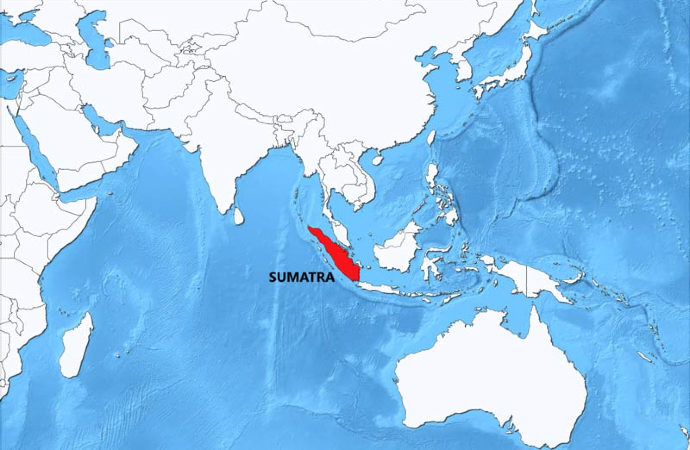 ABD, Endonezya ile Sumatra’da ortak tatbikata başladı