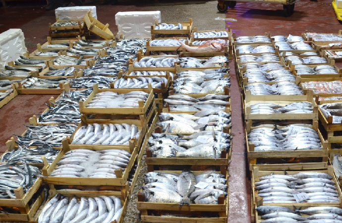 Balıkçılar sezonun ilk avından döndü