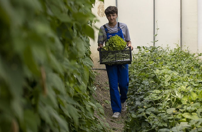 Tarım liseleri için Hollanda’daki sistem incelenecek