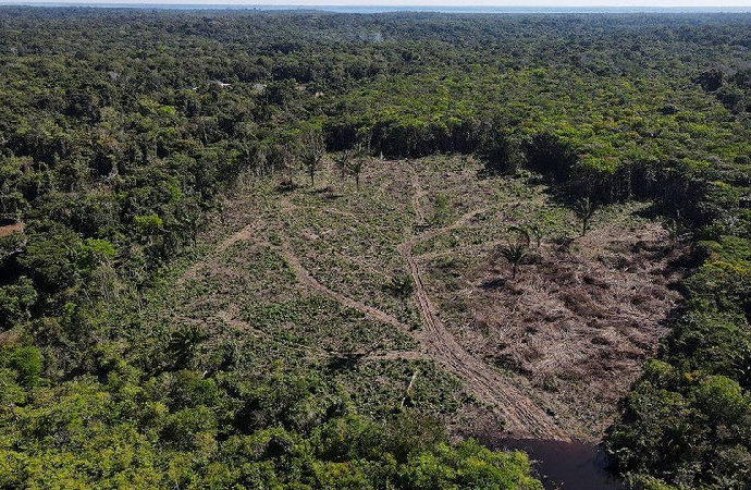 Amazonlar’da geçen yıl ‘yok edilen’ orman miktarı