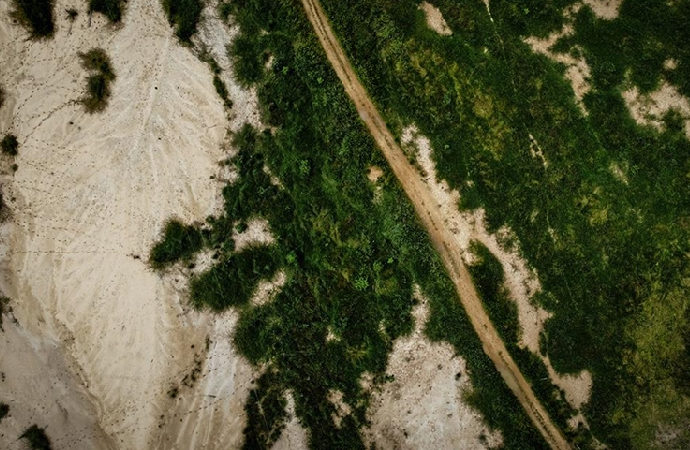 Kolombiya’da son 5 yılda yok edilen orman alanı