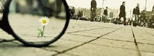 Cevat Akkanat’tan “İlaçları Emleri…”