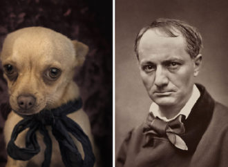 Baudelaire’in Köpekleri
