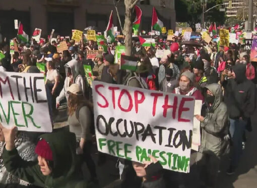 Gazze protestoları: Öğrenciler neden üniversiteleri hedef alıyor?