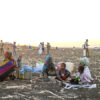 Sudan’ın batısında şiddetlenen çatışmalar ve bölünme tehlikesi