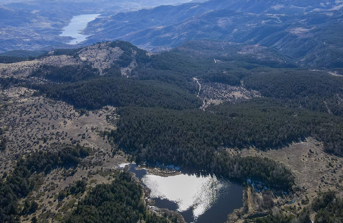 Türkiye genelinde 28 şehirde ormanlara girişler yasaklandı