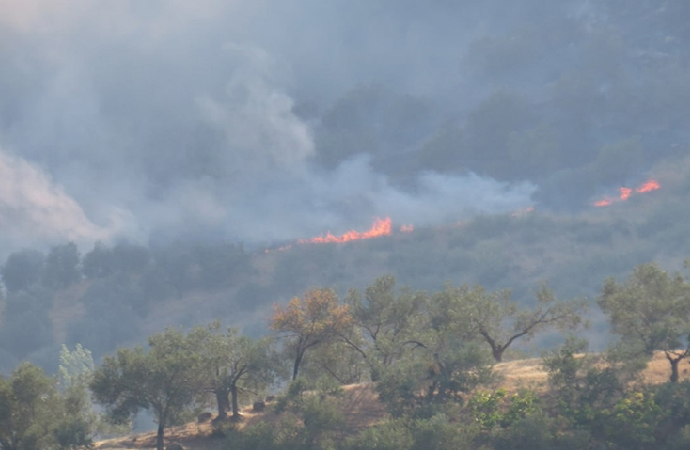 Her yangın, afet potansiyeli taşıyor!