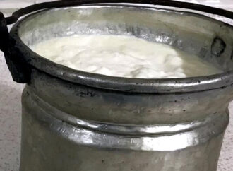 3 bin 500 yıllık mumyalarda kefir peynirinin izleri