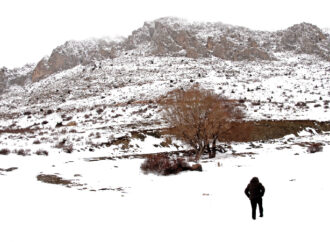 Taşa yaz dalgalanmıyorsa su / Suya oku kafa yarmıyorsa taş