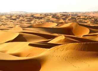 Cihad Dosyası: Cihattan Önce ‘Hicret’ Gerek