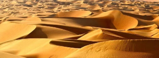 Cihad Dosyası: Cihattan Önce ‘Hicret’ Gerek