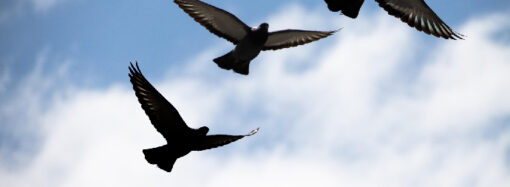 Bekleyeni Olmaz Her Durağın