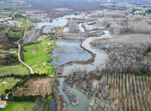 Acarlar Longozu’nun ekolojik zenginliği