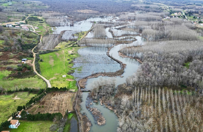 Acarlar Longozu’nun ekolojik zenginliği