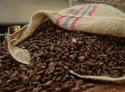Türkiye’den 1,7 milyar dolarlık kakao satışı