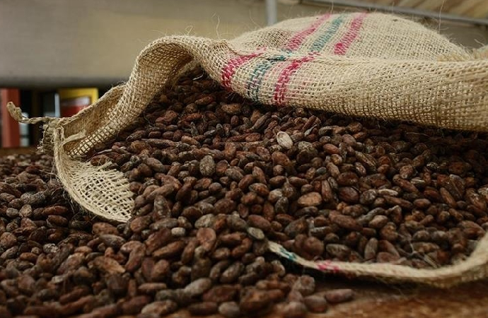 Türkiye’den 1,7 milyar dolarlık kakao satışı
