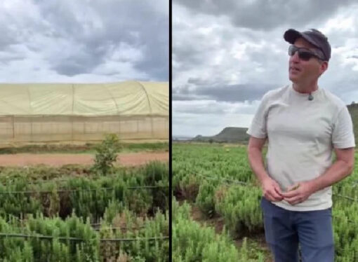 İsrailli ‘yatırımcının’ Kenya’daki projesi yahudi işgaline benzetiliyor!