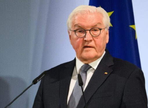 Steinmeier: Büyük güçler hayatta kalabilir ama bu bizim için geçerli değil