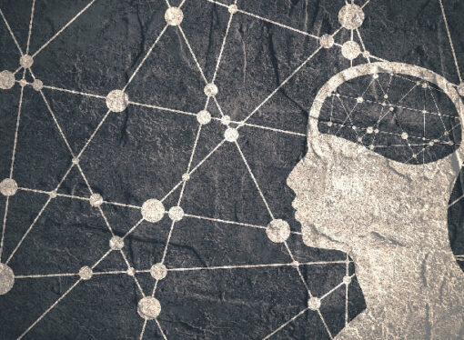 Münafıklık, Elitizm ve Aydın Kibrinin Güncel Hali