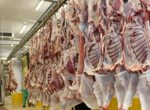 “Et fiyatları manipülasyonu” operasyonu