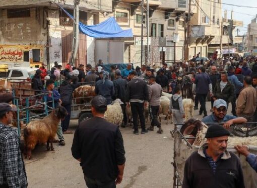 Gazze’de Kurban Bayramı hazırlıkları