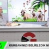 Kurbanlarımızı mı belirledik mi?