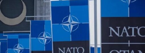 NATO’yu Tanımak ya da Osmanlının İdraksizleri