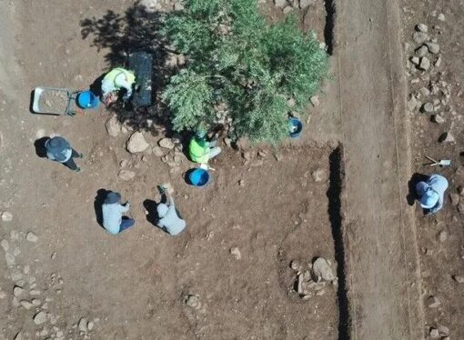 Şanlıurfa’da Çinli arkeologlar kazı yürütüyor