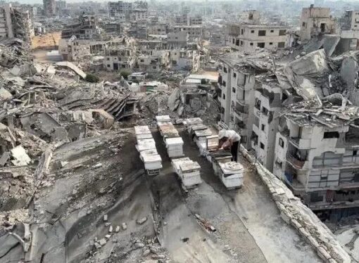 Gazze’de hayata tutunmak