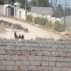 Kusra’da Filistinlilere ait 3 evi 11 gündür abluka altında